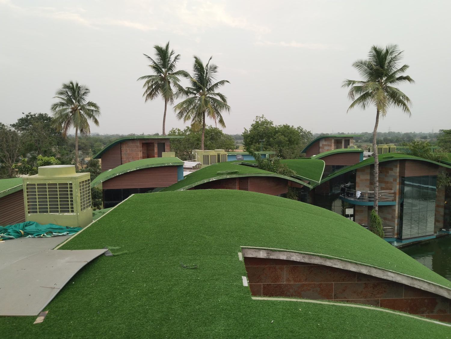 Artificial Grass
