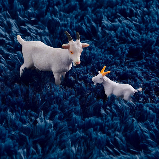 Floova Round Shaggy Carpet