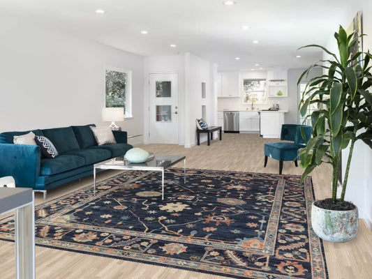 Canyon Hand Knotted Rug